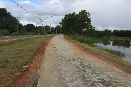 Foot path at Medirigiriya Watadagaya